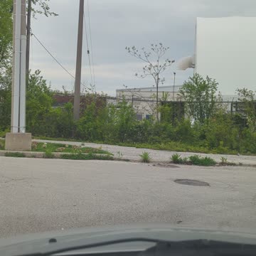 First sign of spring