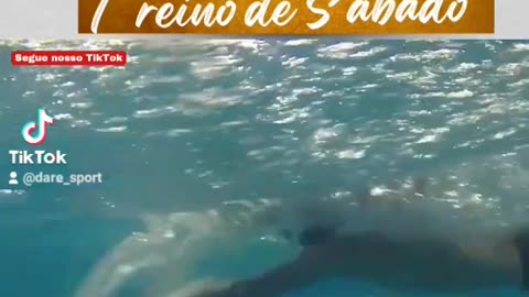 Nunca Desista dos seus Sonhos🥇 Olimpíadas é a Meta #michaelphelps