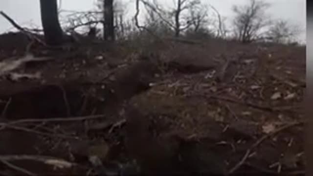 Ukrainian Ground Forces Making Moves