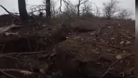 Ukrainian Ground Forces Making Moves