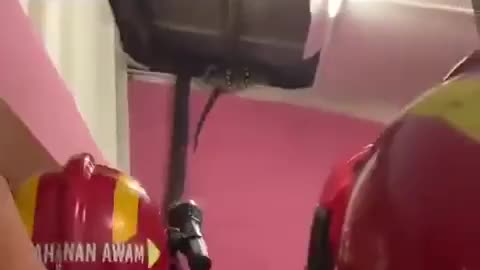Pythons' Valentine's Day Was Ruined In Malaysia 😂