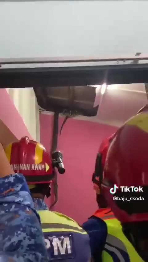 Pythons' Valentine's Day Was Ruined In Malaysia 😂