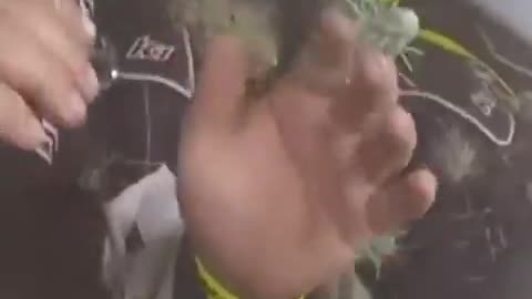 epicFail.jpeg