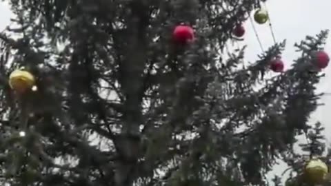 Since Muslims don't believe in Christmas, why did they set up a gazebo with