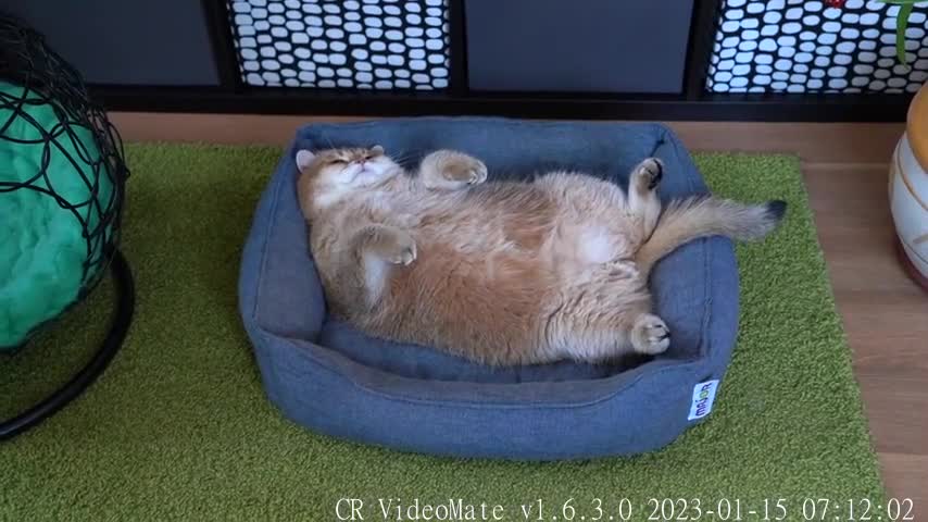 It's a good day to relax