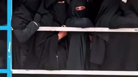 Before and After Sharia Law