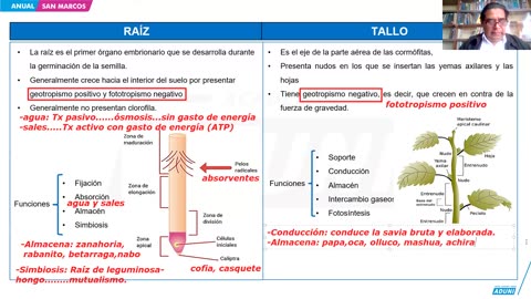 ANUAL ADUNI 2024 | Semana 20 | RM | Trigonometría | Biología