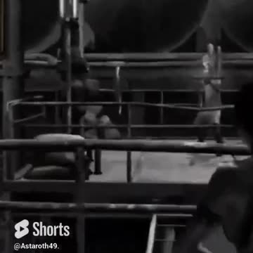 McDicken. RE5. Ep. (7)? Did you just call me the "N"! #residentevil5goldedition