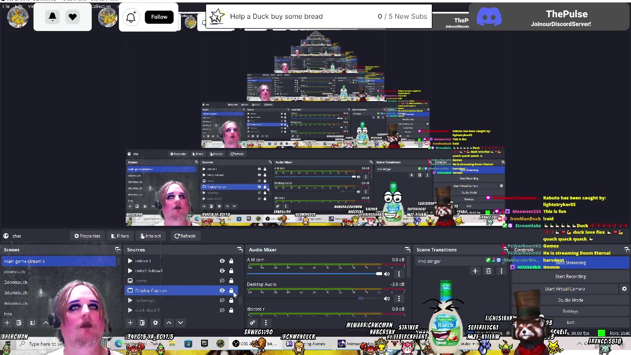 shell shockers duck it my streams are unlike any other stream 2 3 23