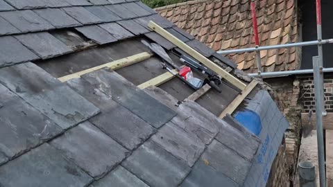 Reviving the roof