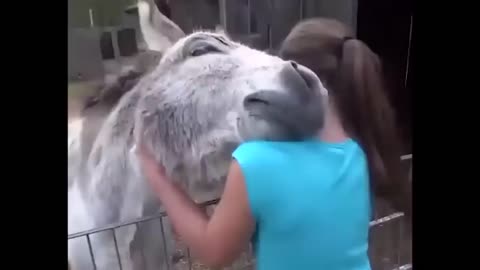 Reaction of a donkey right after see the girl who raised him