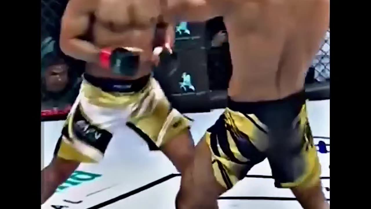 Ufc fight