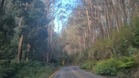 Lake Mountain Road - Victoria - Australia