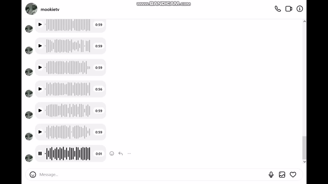 Mookie7o4 Instagram Voice Messages ☞ Message To The Trolls July 03 2023 ☜
