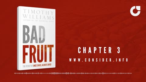 Bad Fruit: Wrong Roman's Road, Chapter 3