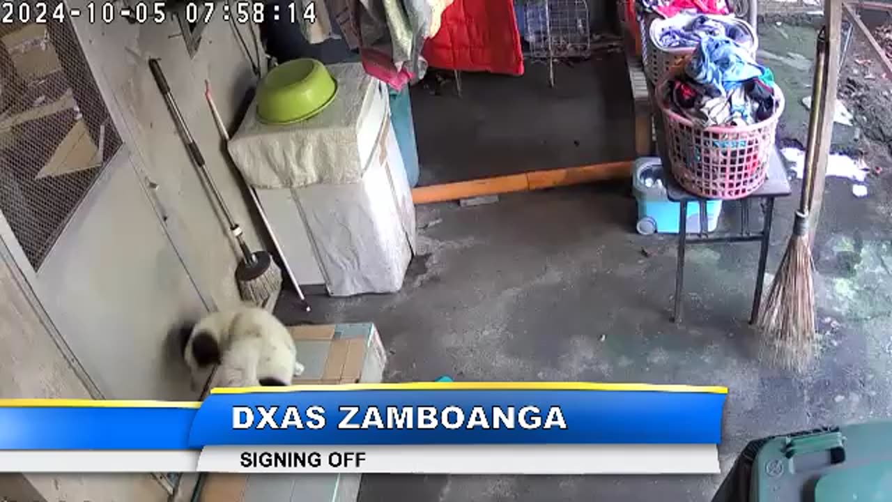 DXAS Zamboanga Fuerza Naval Bato as Well as 10,000 Reasons