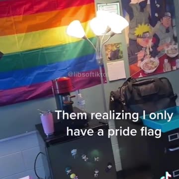 Anti-American Teacher Accidentally Makes A Commercial For Homeschooling With A TikTok Video