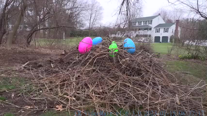 Dogs vs Giant Bunny from Outer Space Funny Dogs Maymo, Potpie & Indie vs Easter Bunnies Prank