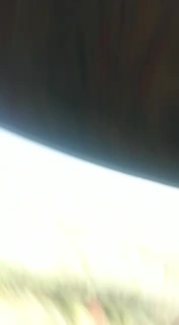 School Bus driver assault kid in Free state, South Africa