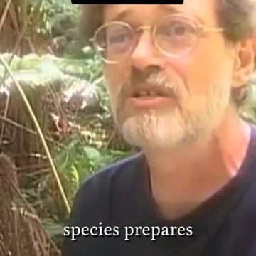 Terrence McKenna's last words 25+ years ago