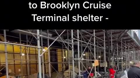 NYC migrants