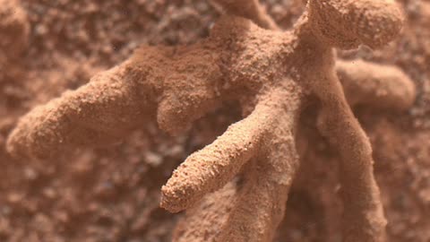 Som ET - 59 - Mars - Curiosity Sol 3396