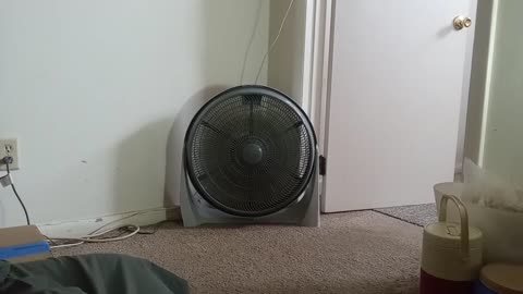 UNEDITED FOOTAGE OF A FAN