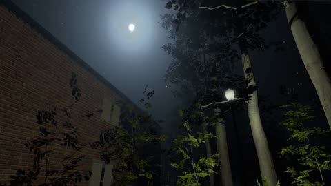 The Greys: Human Abductions DEMO TRAILER