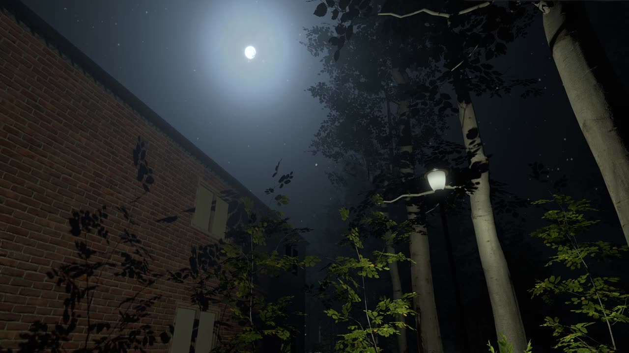 The Greys: Human Abductions DEMO TRAILER