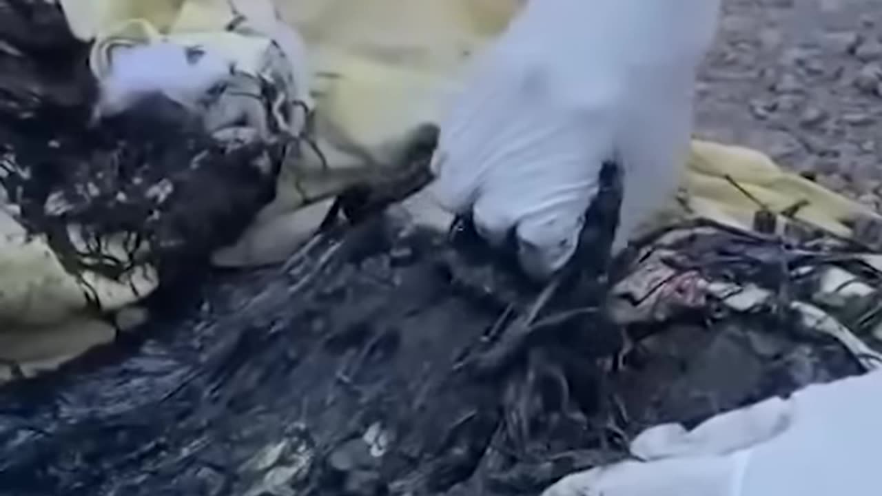 Rescuing a dog from molten rubber