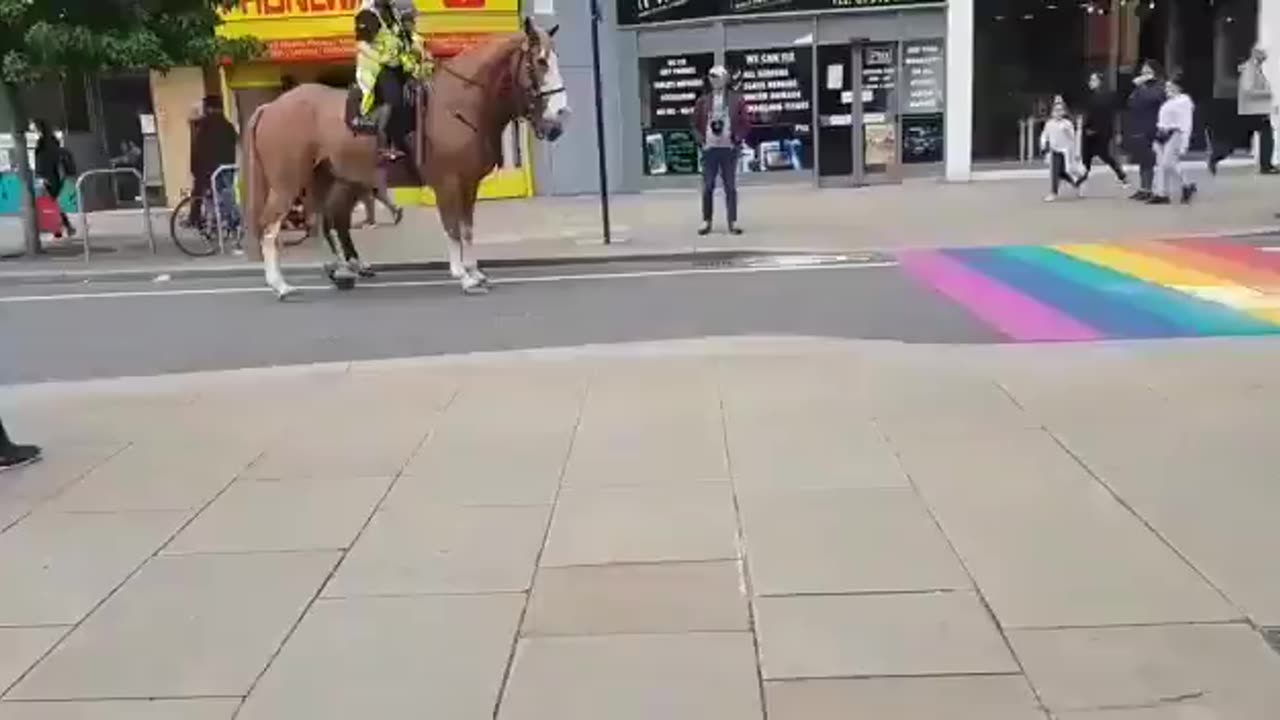 Police Horses REFUSE to Walk on Gay Flag Street Art