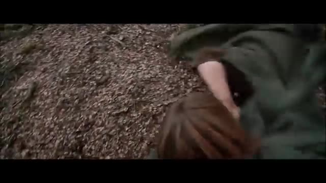 The entire LOTR Extended Trilogy but it's just Frodo Baggins stumbling and falling down