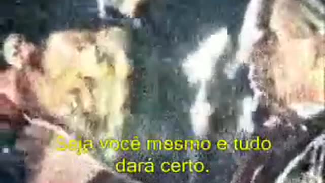 ZORRO PARTE 1