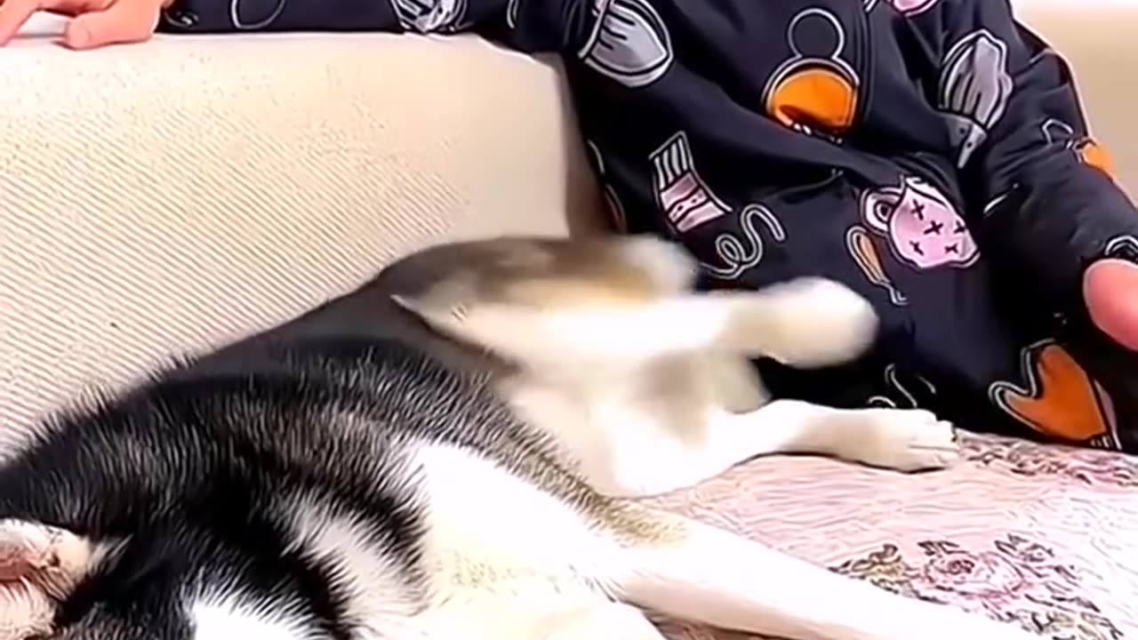 Funny Hilarious Meme