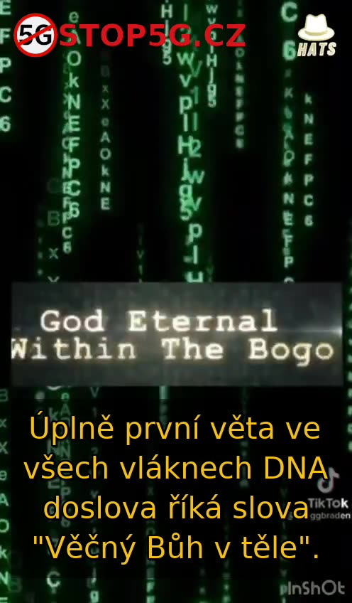 DNA má v sobě Zprávu