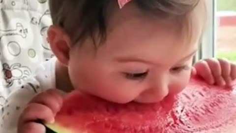 Funny Baby Videos Eating