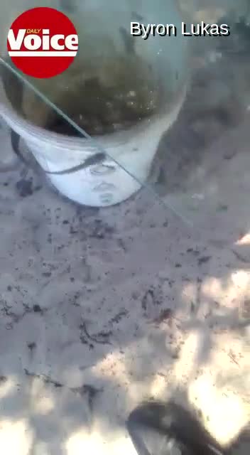 Ou wakes up to snake tieping on his kop