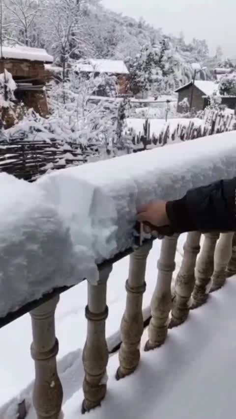 "Cutting into Winter's Chill: An Ice-Cake Celebration"