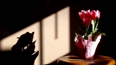 State of the Union - FJB