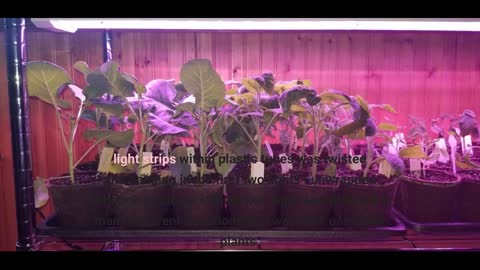 ANTLUX 4FT LED #GrowLights 50W Full Spectrum Integrated-Overview