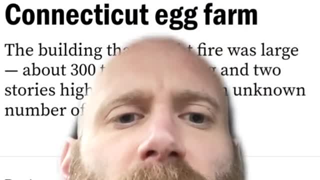 Another egg farm fire