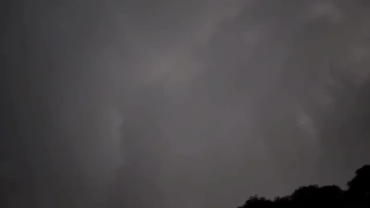 What's That