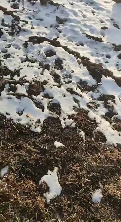 The destroyed MLRS BM-27 of the Armed Forces of Ukraine