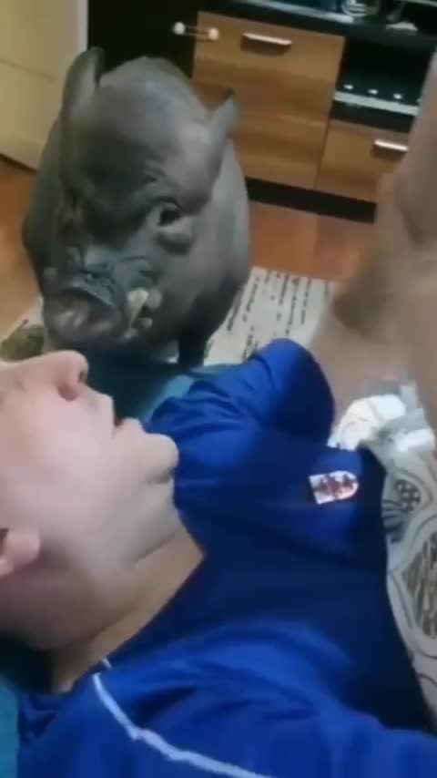 Feminist explains why modern feminism is bad, but original feminism is good and wholesome.