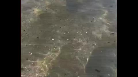 STARS, WANDERING STARS (planets) & THE WATERS ABOVE