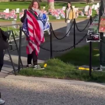 Student protester tears down an American flag at the MIT campus.It's only freedom when they agree
