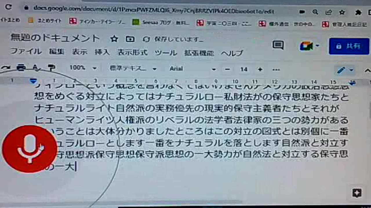 セイ33 人定法派の登場