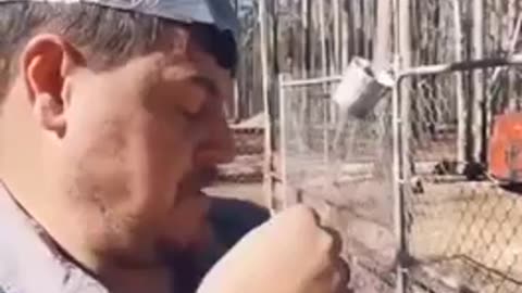 Protect your livestock