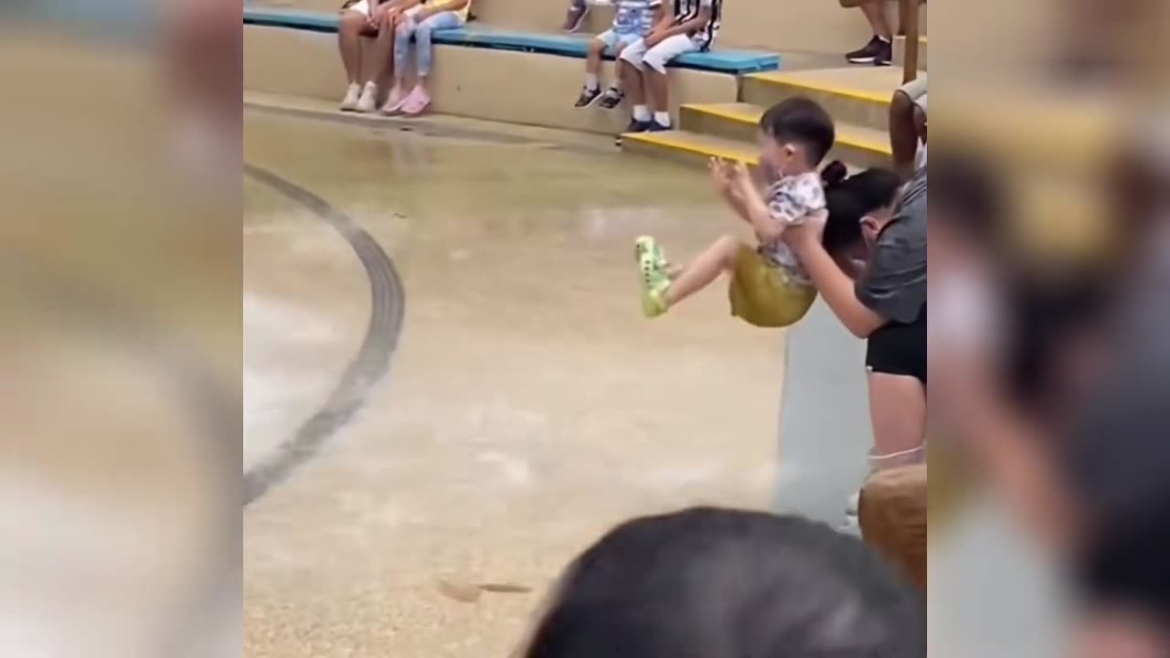 The Confusing Behavior of Animals 126