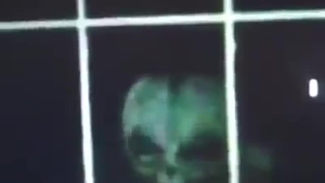 GREY looking alien caught on hand held camera from inside the house in Colorado?!?!?!